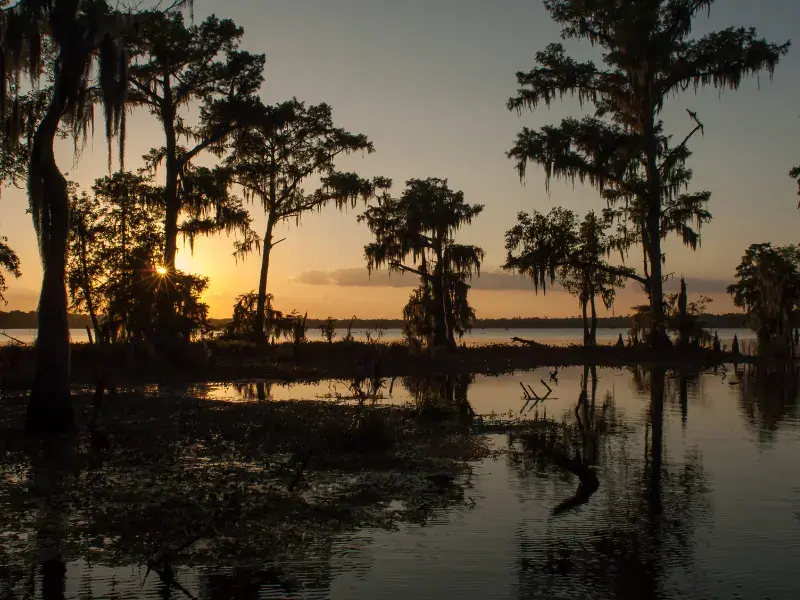 Louisiana bayou and cypress trees at sunset near Marrero, LA