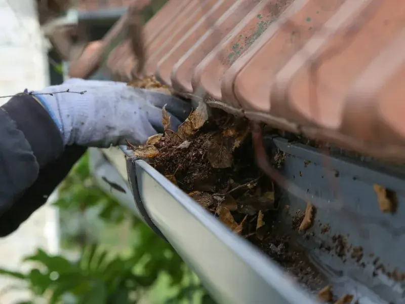 Gutter being cleared of leaves and debris on a New Orleans home